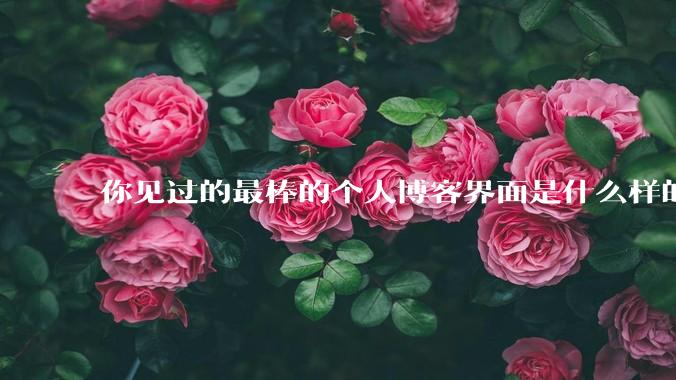 你见过的最棒的个人博客界面是什么样的？