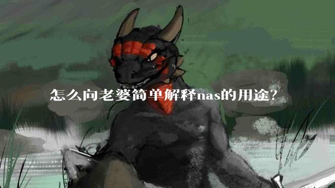 怎么向老婆简单解释nas的用途？