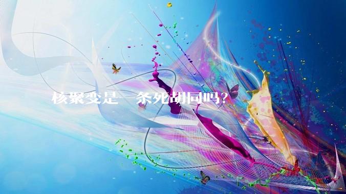 核聚变是一条死胡同吗？