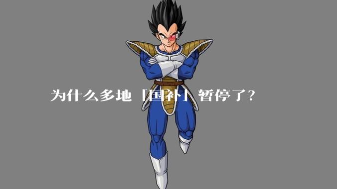 为什么多地「国补」暂停了？