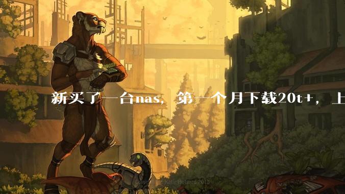 新买了一台nas，第一个月下载20t+，上传5+，不会被网警盯上吧?